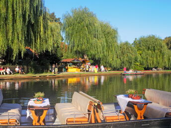 Spreewald im Sommer inkl. Abendessen