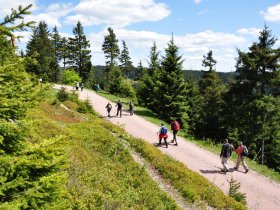 3 Tage Erlebnisurlaub im Thüringer Wald im Waldhotel Berghof in Luisenthal
