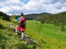 3 Tage Erlebnisurlaub im Thüringer Wald im Waldhotel Berghof in Luisenthal
