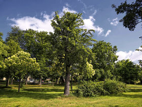 Romantische Tage in Weimar - 3 Tage