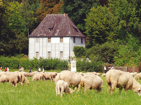 Romantische Tage in Weimar - 3 Tage