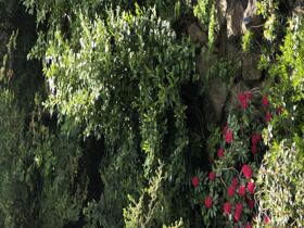 4 Tage Hessen Zwischendurchurlaub im Sauerland 