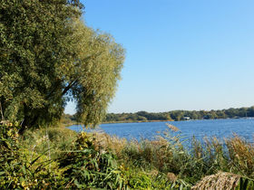 Goldener Herbst
