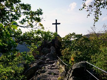 die Wipfel der Bäume im Harz erkunden
