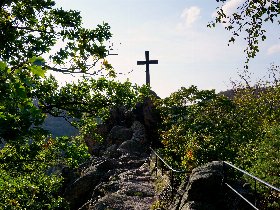 Die Wipfel der Bäume im Harz erkunden
