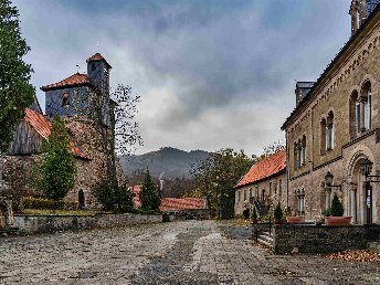 die Wipfel der Bäume im Harz erkunden