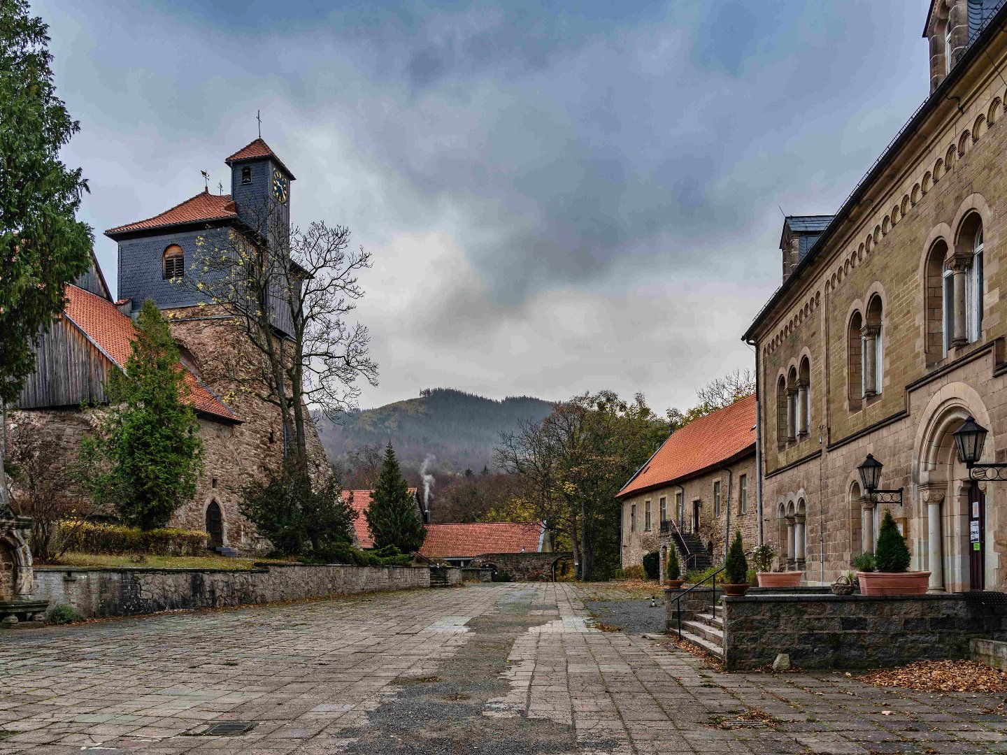 die Wipfel der Bäume im Harz erkunden