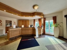 Die Wipfel der Bäume im Harz erkunden