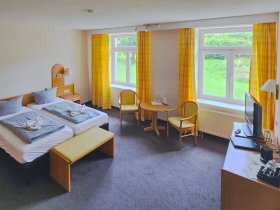 Die Wipfel der Bäume im Harz erkunden