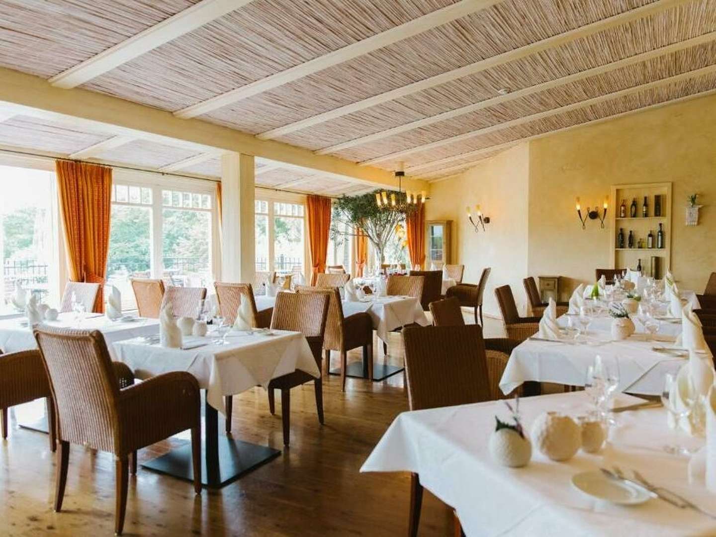 die Wipfel der Bäume im Harz erkunden