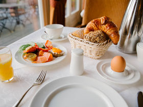 Die Wipfel der Bäume im Harz erkunden