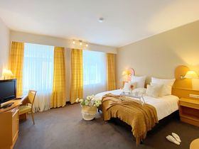 Die Wipfel der Bäume im Harz erkunden