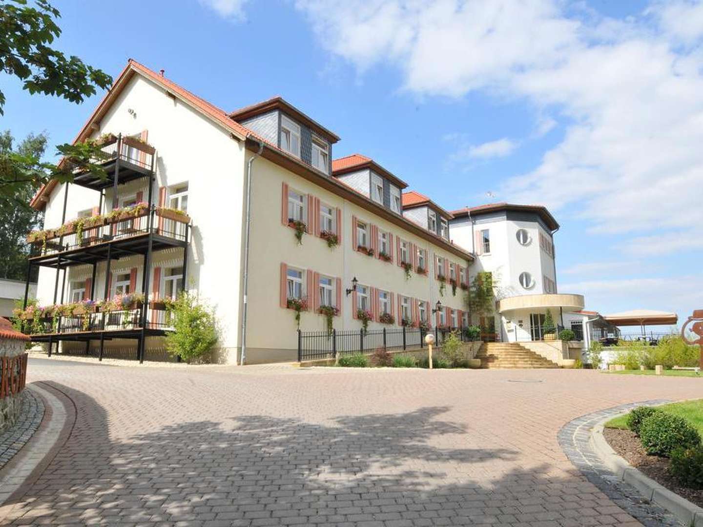 die Wipfel der Bäume im Harz erkunden