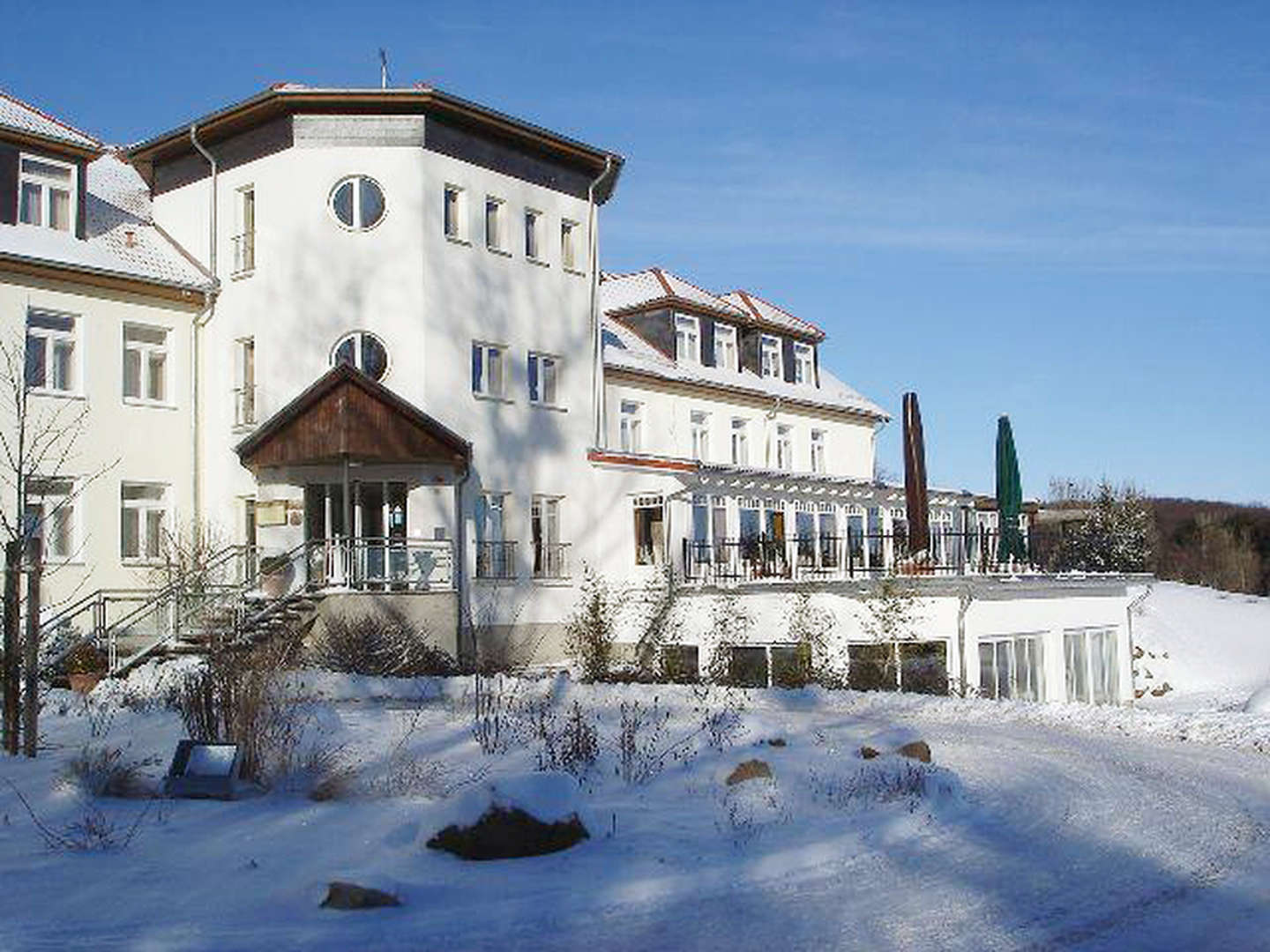 die Wipfel der Bäume im Harz erkunden