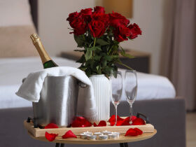 3 Kuscheltage in Ilsenburg inkl. Halbpension