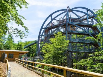 Die Wipfel der Bäume im Harz erkunden