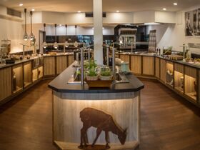 Genießer- Auszeit im Grünen- 3 Tage in der Lüneburger Heide  