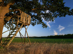 Genießer- Auszeit im Grünen- 3 Tage in der Lüneburger Heide  