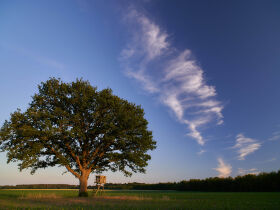Genießer- Auszeit im Grünen- 3 Tage in der Lüneburger Heide  