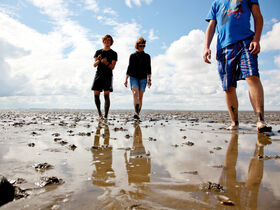 Nordseeküste Wattenmeer -  3 Tage Natur an der Nordsee genießen