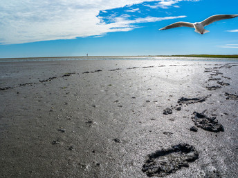 Erlebnis an der Nordsee - Frische Luft am Meer mit Abendessen