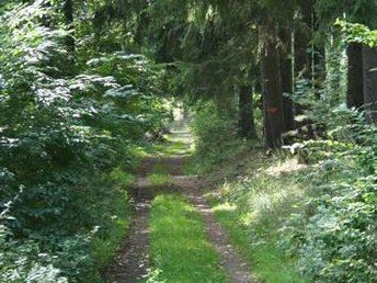 Bild 14 von 20