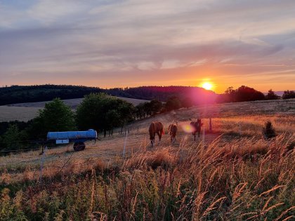 Sonnenblicker Wander-Kurzurlaub in Hessen