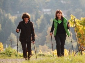 Leben wie Gott in der Pfalz | 3 Tage inkl. HP & Wellness-Oase