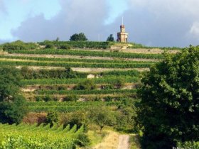 Leben wie Gott in der Pfalz | 3 Tage inkl. HP & Wellness-Oase