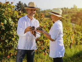 Leben wie Gott in der Pfalz | 3 Tage inkl. HP & Wellness-Oase