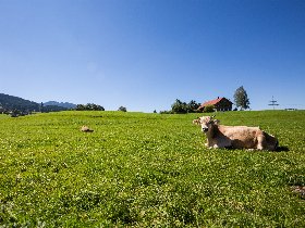 Allgäu Urlaub in Nesselwang 6 Tage 5 Nächte