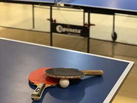 Fahrradurlaub am Plauer See inkl. Lunchpaket & Leihfahrrad 5 Tage