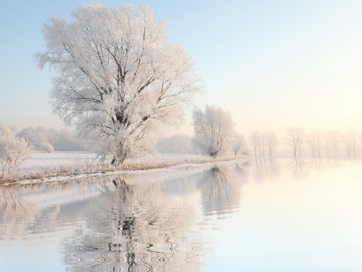 Wintertage am Plauer See 2025 | 8 Tage