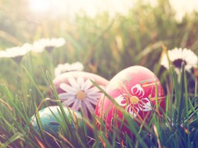 Frühlingserwachen - Ostern am See