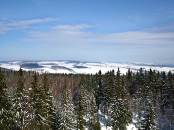 Bild 20 von 20