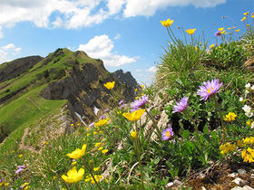 Zu kurz aber schön! - Kurztrip ins Allgäu inkl. Dinner