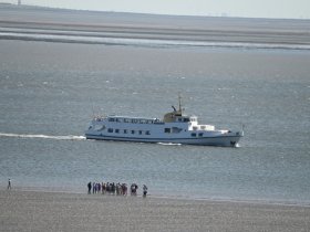 Weltnaturerbe Wattenmeer in Büsum
