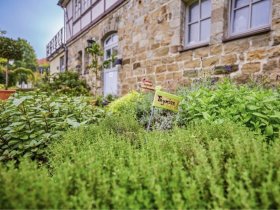 Teutoburger- 4 Nächte - Tour inkl. HP & Fahrräder