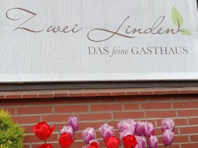 Urlaub für Mensch & Hund- Wellness-Wochenende an der Nordsee inkl. Halbpension & Therme