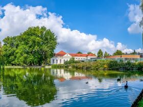 Kurzurlaub - den gönn ich mir! 5 Tage in Naumburg 