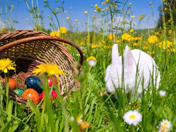 Erholsame Ostern im Harz