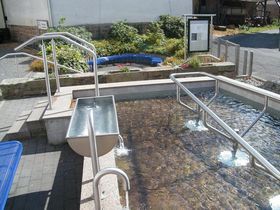 Whiskey Tasting & Kurzurlaub in Hessen