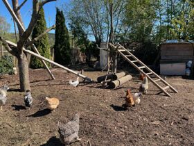 Whiskey Tasting & Kurzurlaub in Hessen