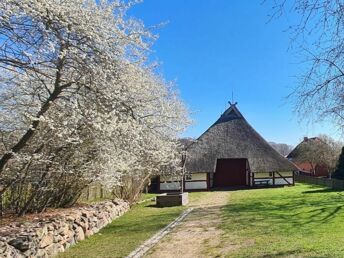 Bild 26 von 34