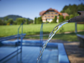 Schnupperangebot - 6 Tage im Schwarzwald