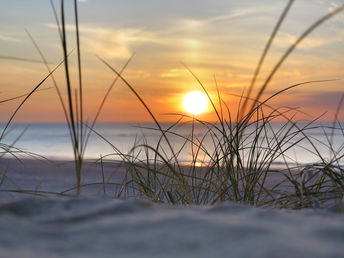 Frühling auf der Insel Usedom im Hotel garni 