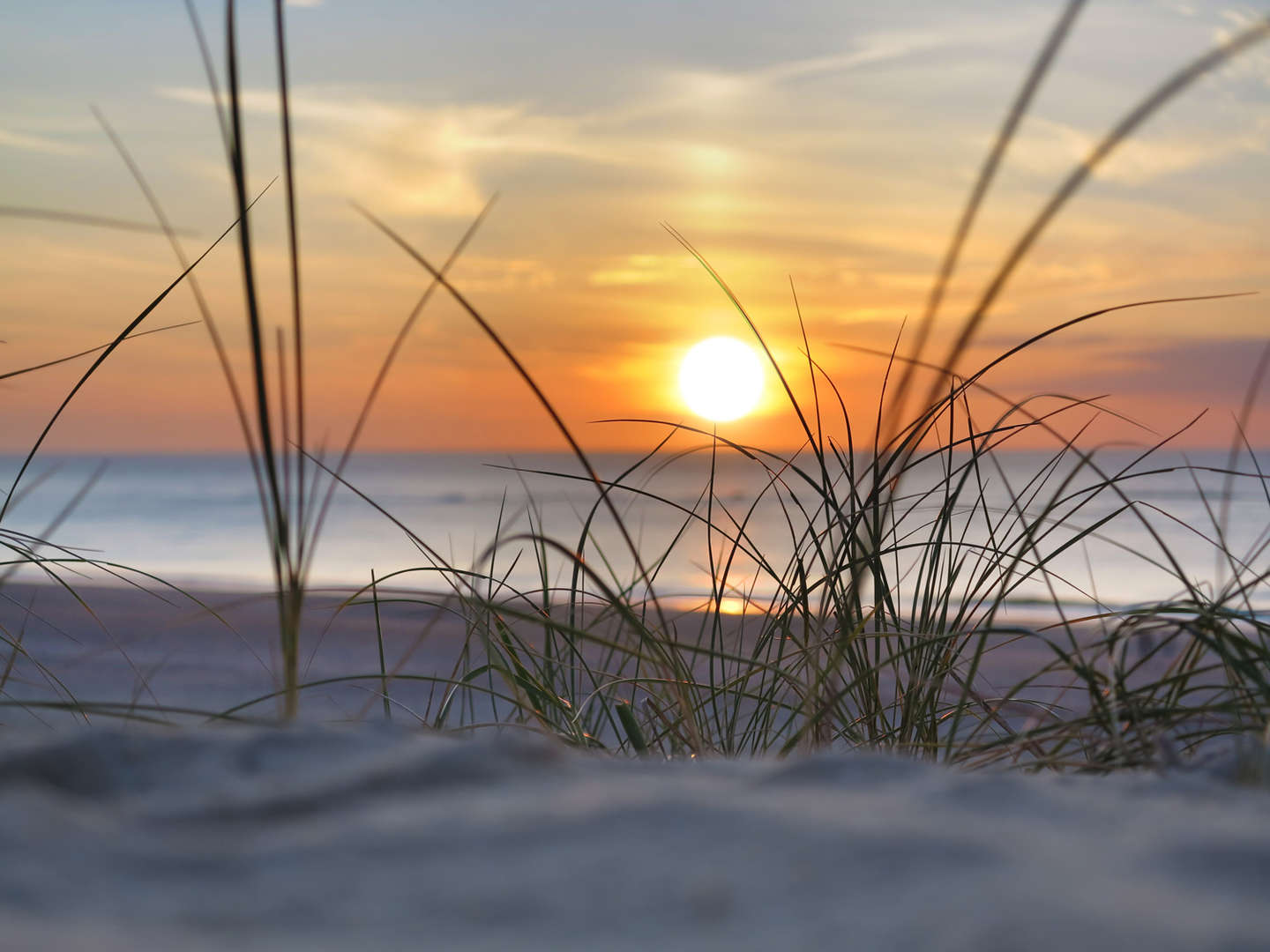 Frühling auf der Insel Usedom im Hotel garni 