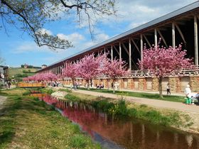 Romantische Tage für Verliebte in der Pfalz