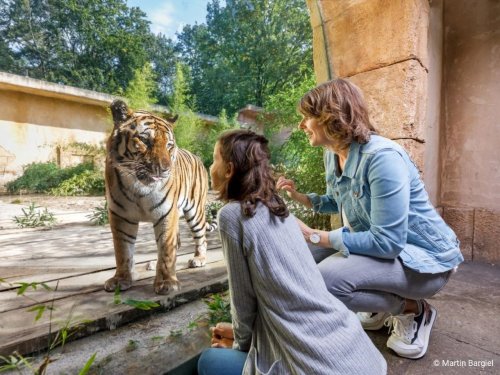 2 Tage | Familienzeit in der Region Hannover - Mit Besuch im ZOO  