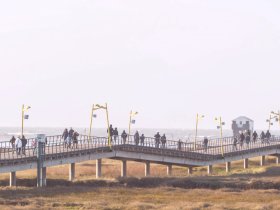 5 = 4 Nordsee Kuscheltage